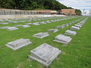 平成27年6月芝生墓地